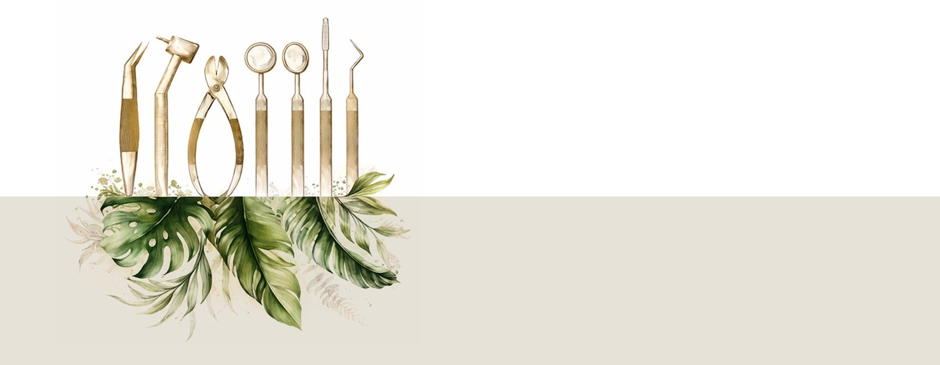 Planta Decorativa